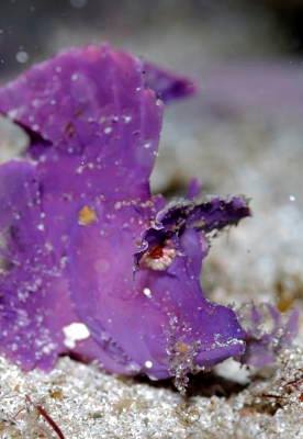 �����@��l